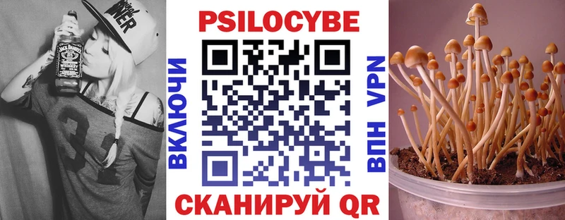 Галлюциногенные грибы Cubensis  Купить закладки  Клинцы 